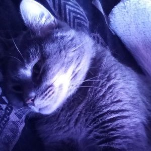 Meet your Posher, Brooklyn